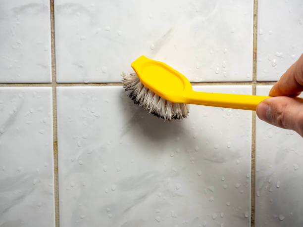 Best Best Mold Removal Companies  in Cheswick, PA