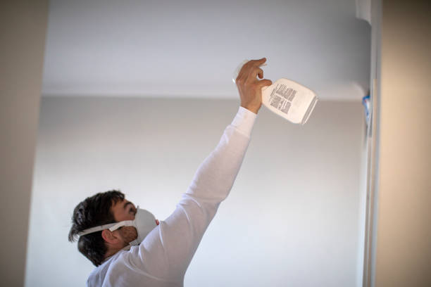 Best Black Mold Removal  in Cheswick, PA